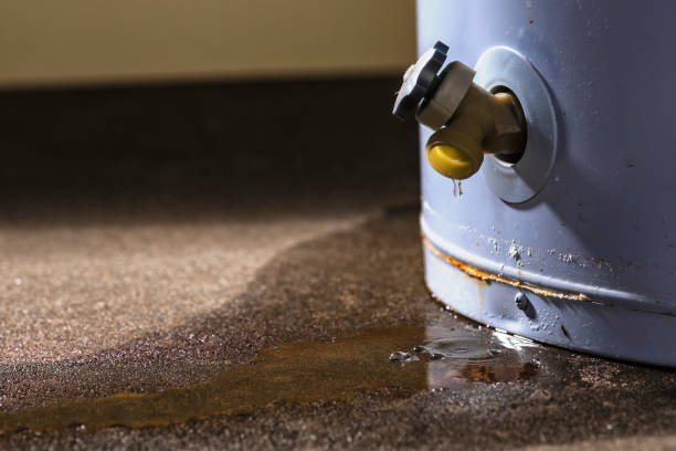 Best Fire Damage Restoration  in Carrollton, VA