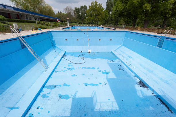 Best Professional water damage repair  in Carrollton, VA