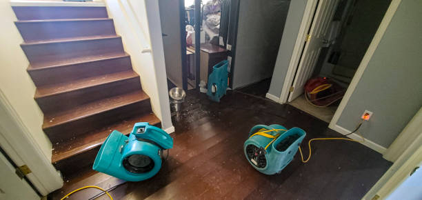 Professional Water damage restoration in Carrollton, VA