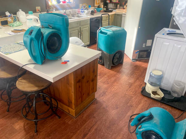 Best Flooded house restoration  in Carrollton, VA