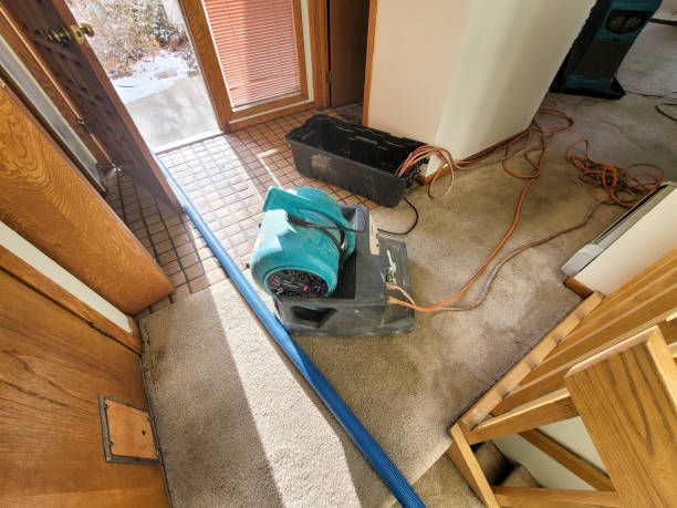 Best Water damage restoration process  in Carrollton, VA