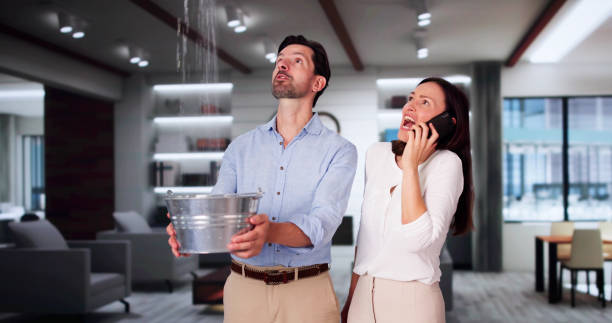 Best Flooded house restoration  in Carrollton, VA